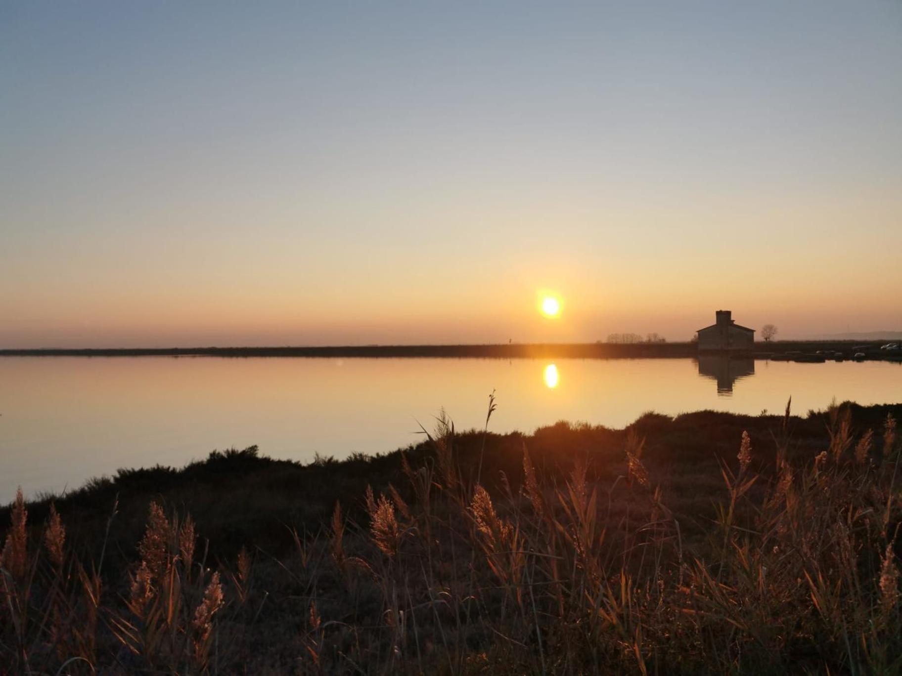 Comacchio Experience - Ospitalita Diffusa Lido di Pomposa Exterior foto